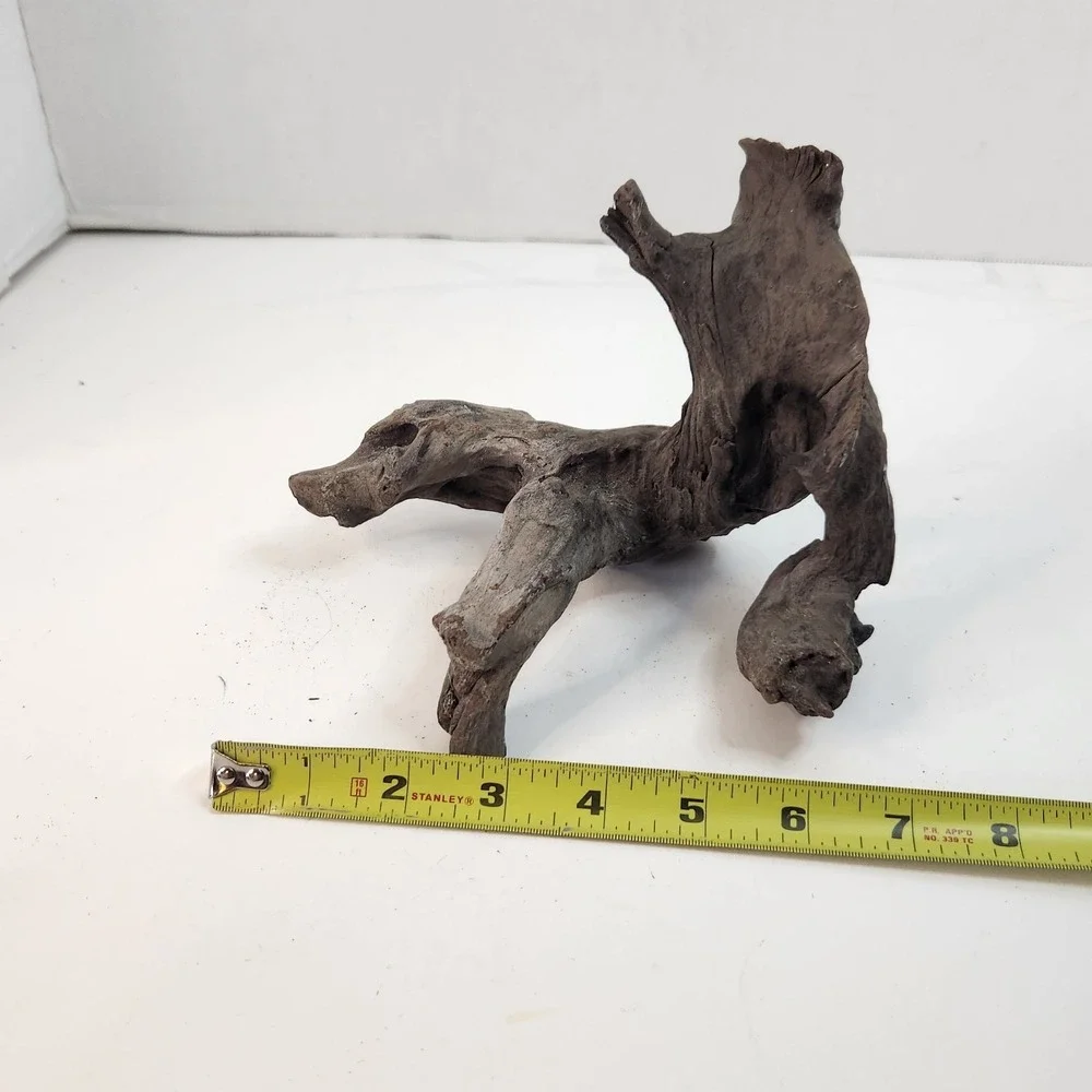 Natural driftwood for aquarium/terrarium/arts and crafts/Taxidermy Burl Habitat